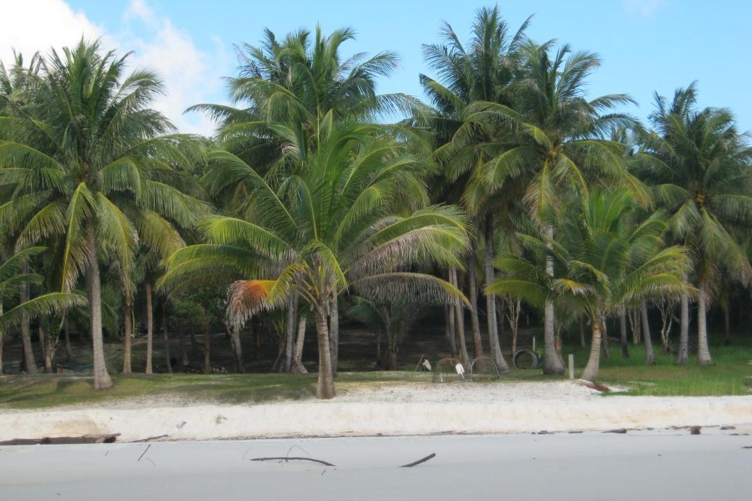 Photo of Others in Koh Rong