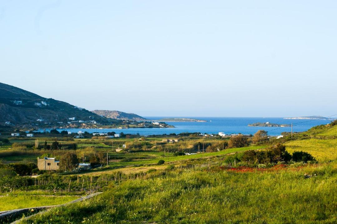 Photo of Outdoor in Paros