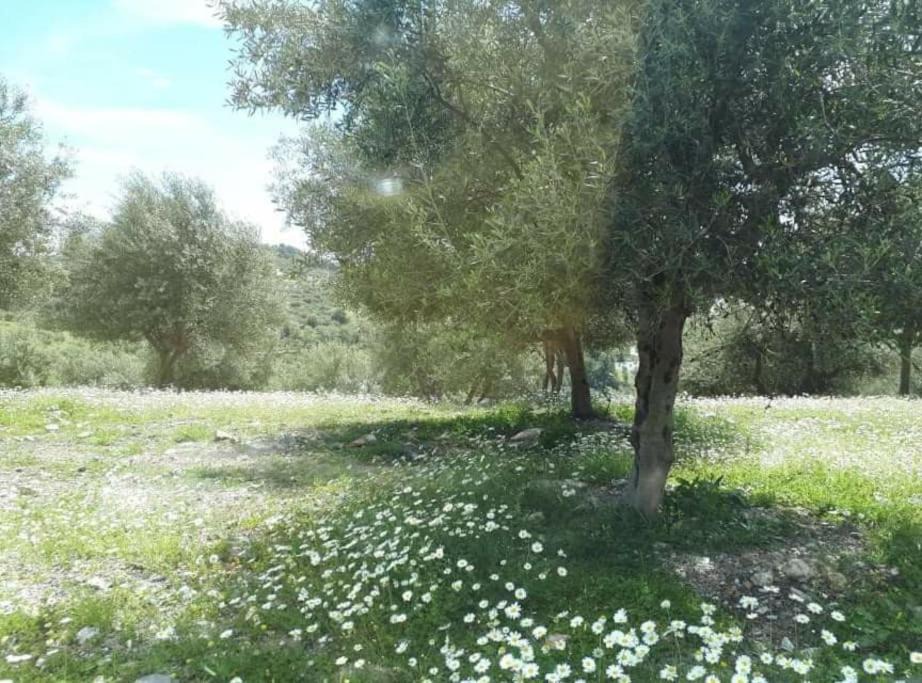 Photo of Outdoor in Heraklion