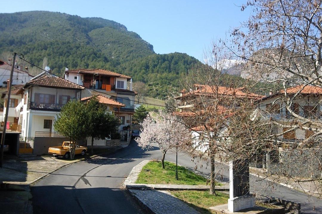 Photo of Others in Litochoro