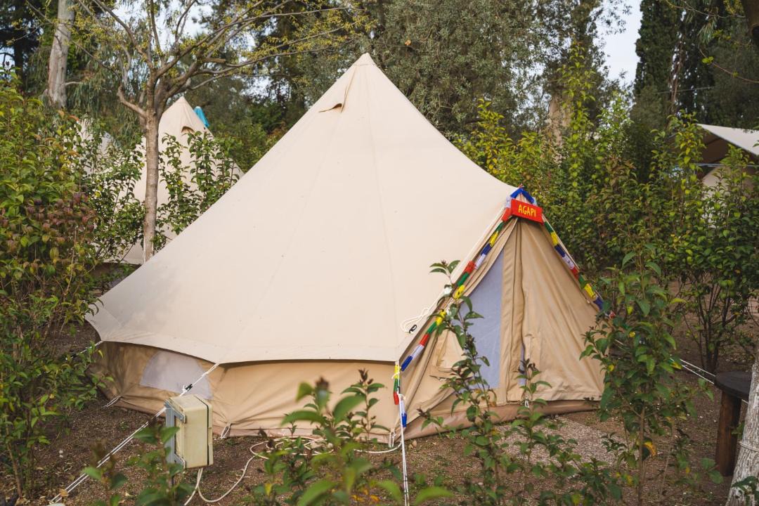 Photo of Outdoor in Stylida