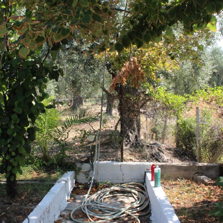 Photo of Others in Skala Kallirachis