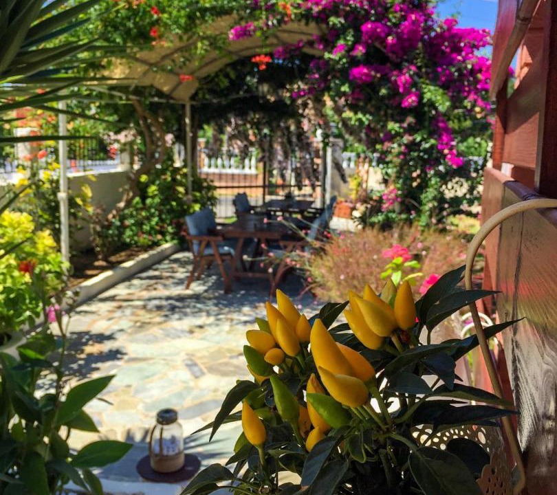 Photo of Patio Balcony in Ag. Georgios