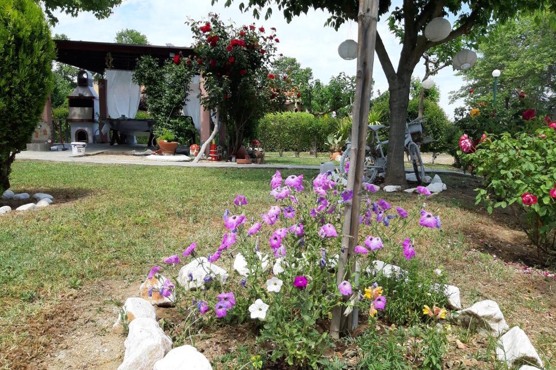Photo of Others in Aristotelis