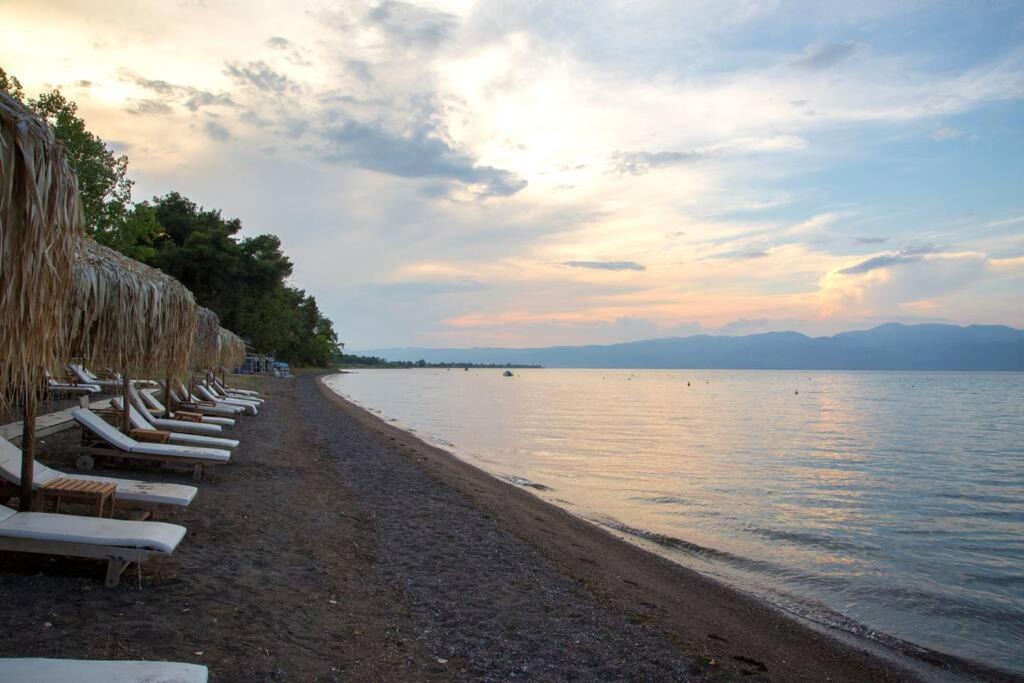Photo of Outdoor in Kamena Vourla