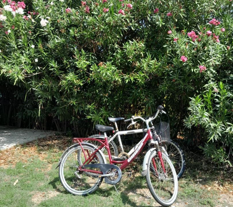 Photo of Others in Agios Ioannis