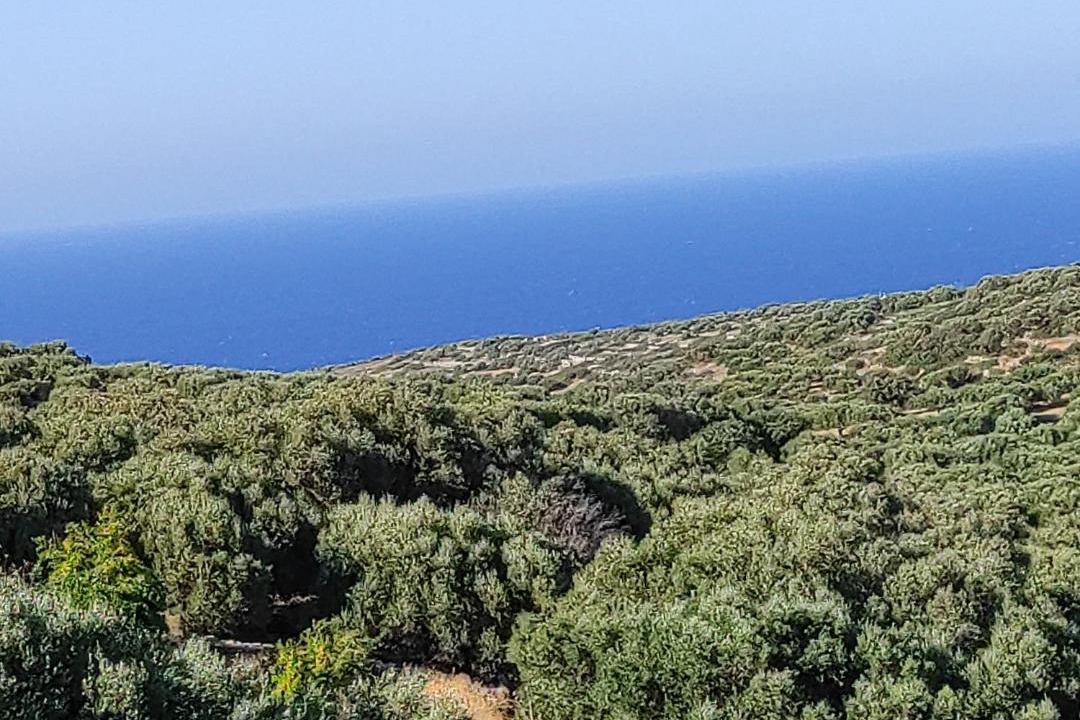 Photo of Others in Vrouhas