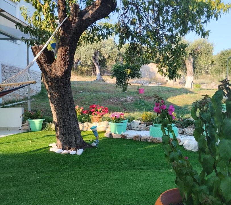 Photo of Others in Skala Kallirachis
