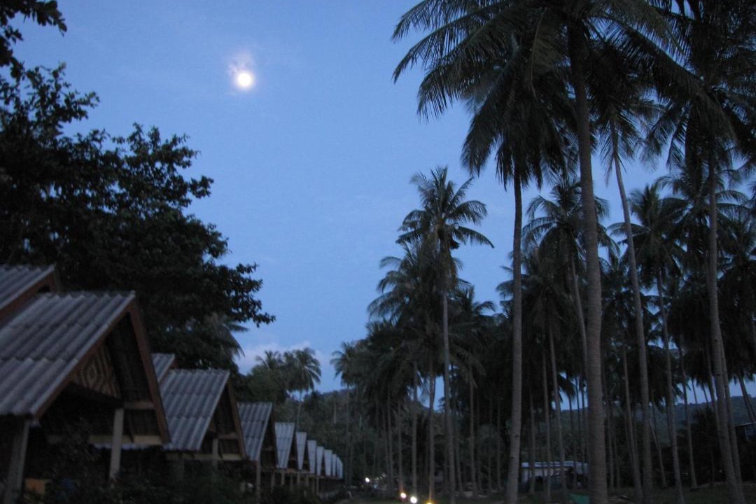 Photo of Others in Ko Lanta