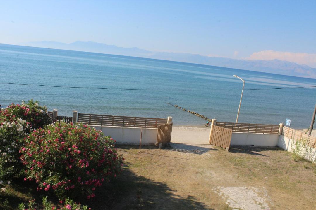 Photo of Others in Roda