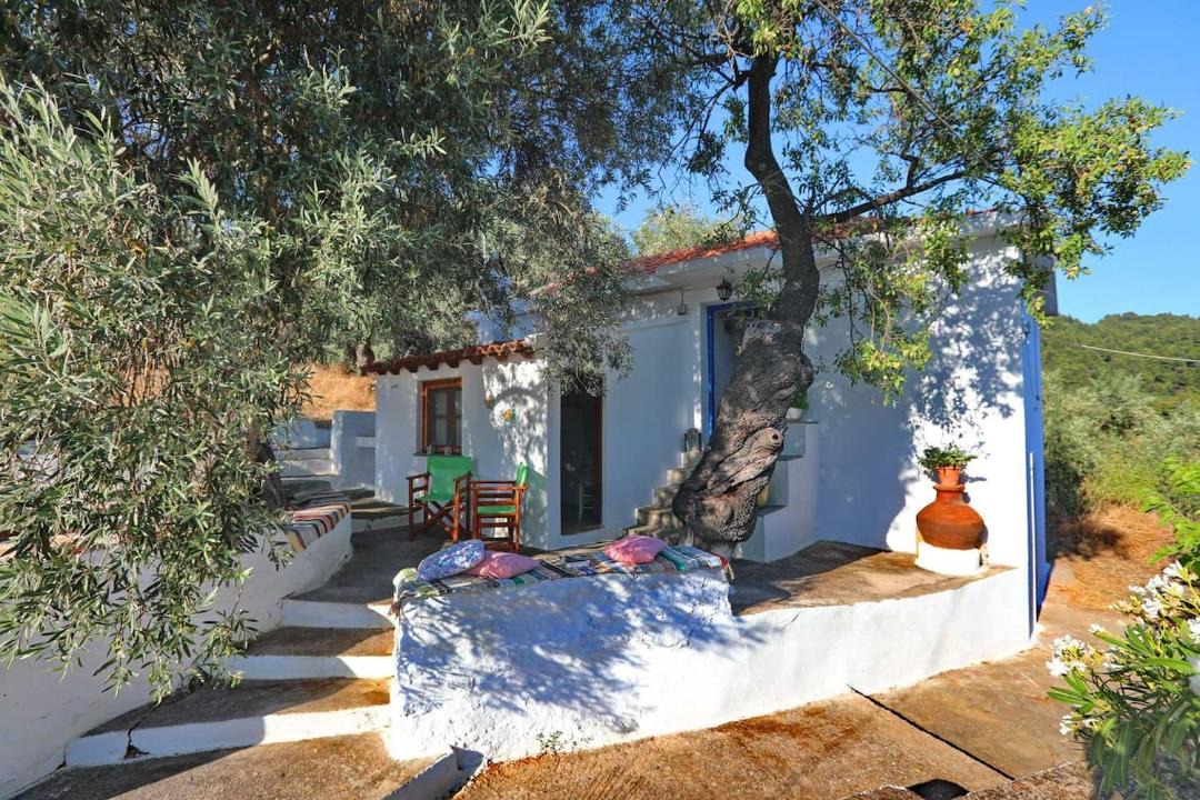 Photo of Others in Skopelos