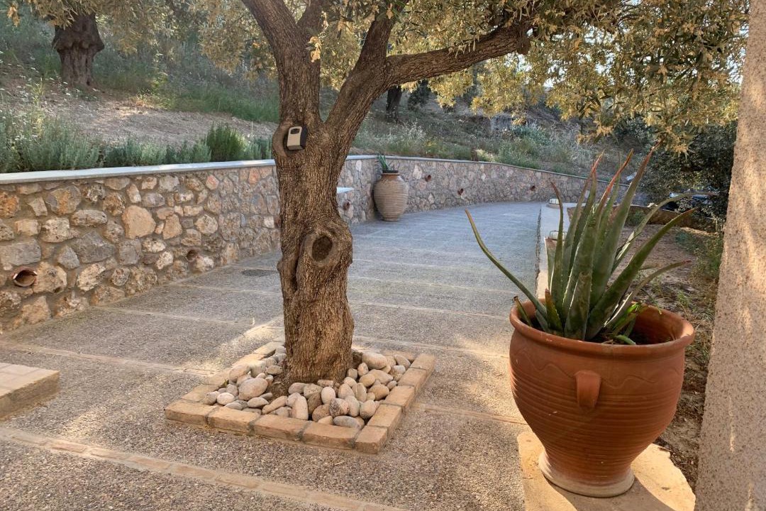 Photo of Others in Spetses