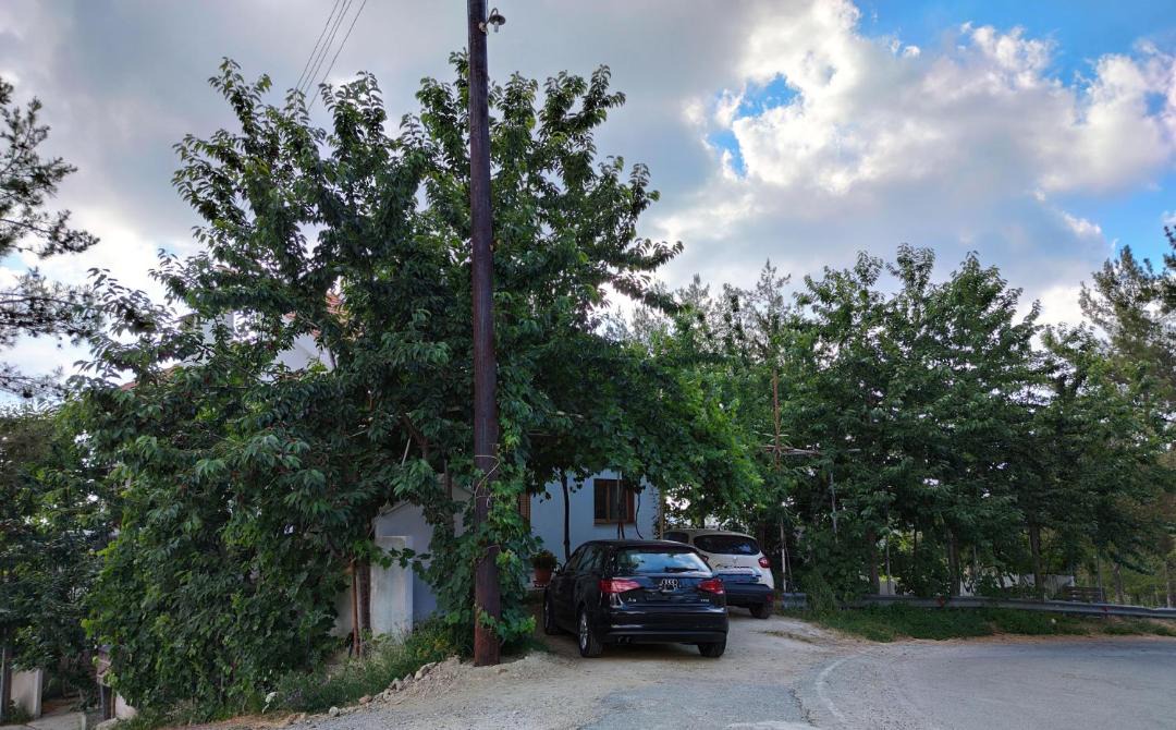 Photo of Others in Prodromos