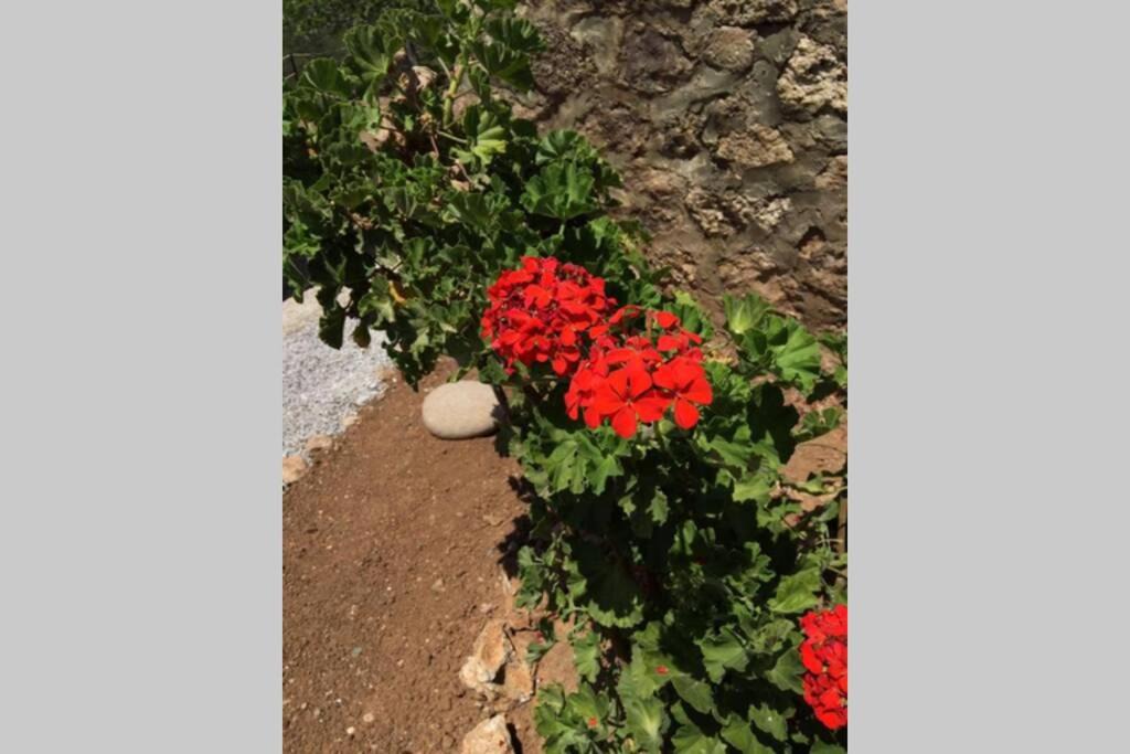 Photo of Others in Agios Emilianos