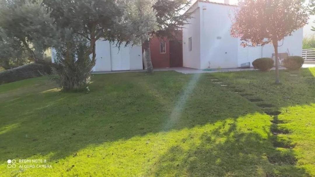 Photo of Others in Chalcis