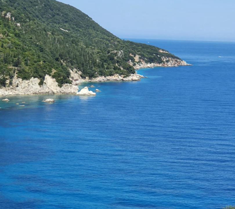 Photo of Others in Platrithias