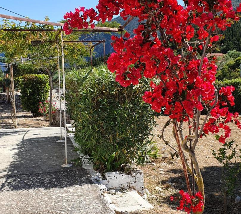 Photo of Patio Balcony in Platrithias