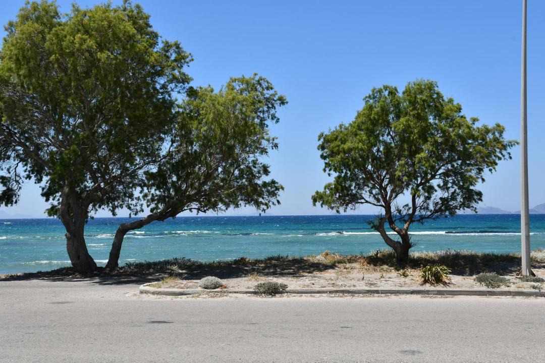 Photo of Outdoor in Lambi