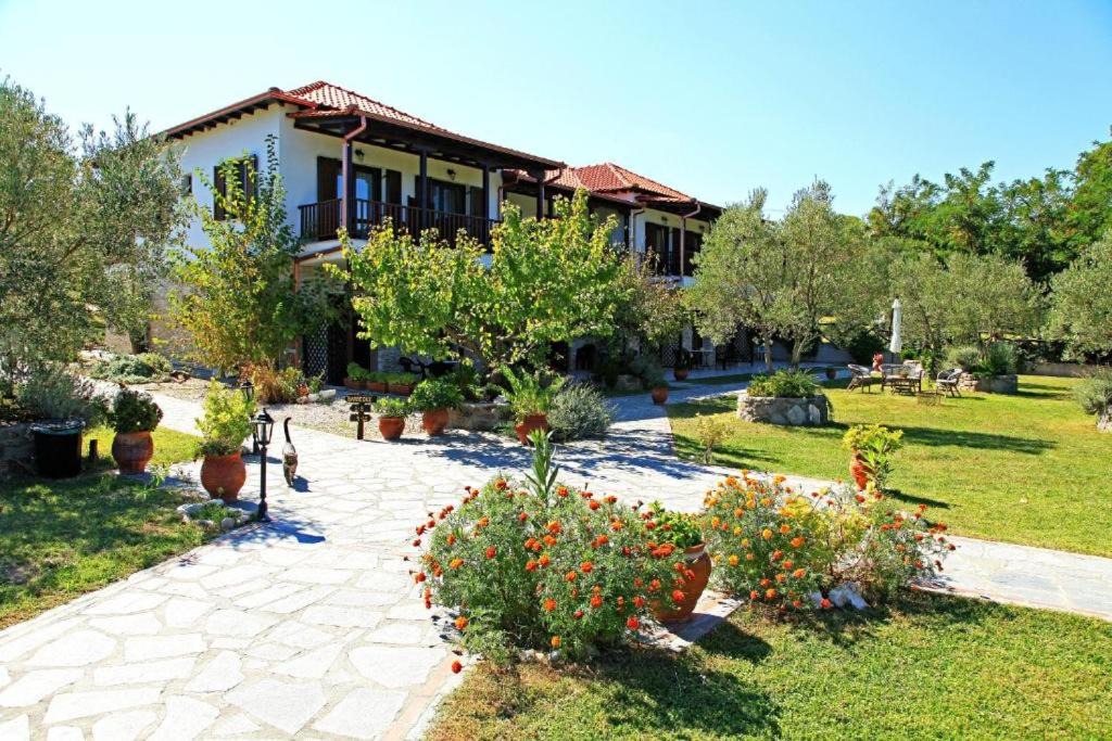 Photo of Others in Aristotelis