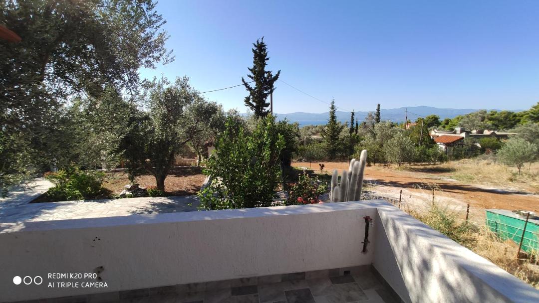 Photo of Others in Eretria