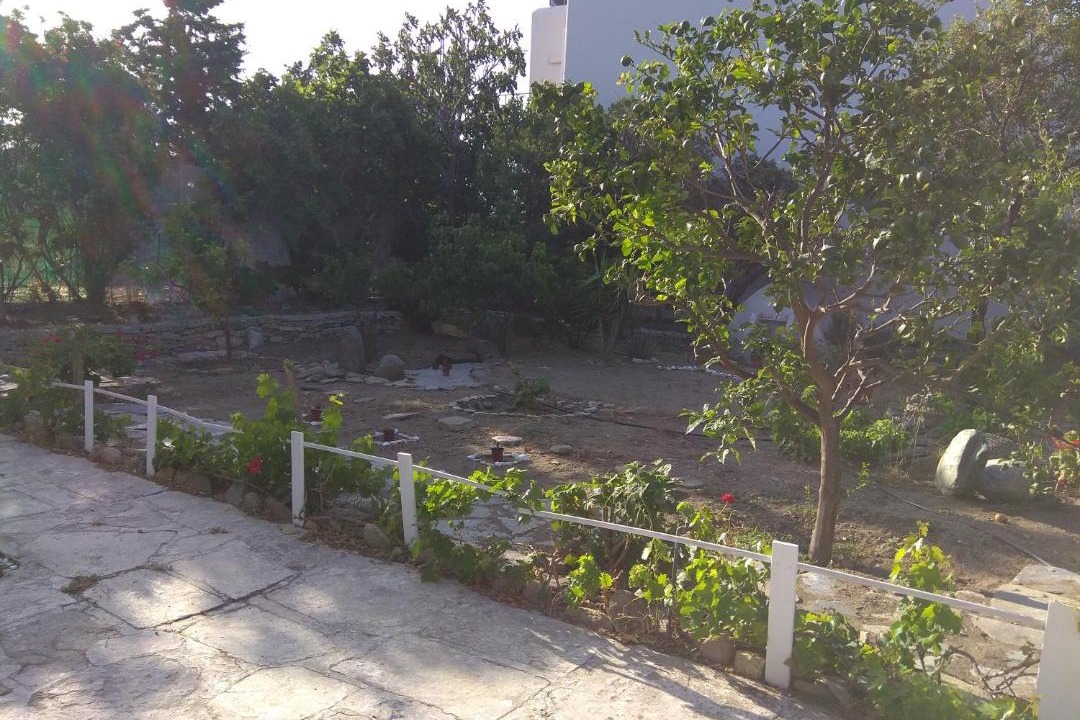 Photo of Others in Tinos Town