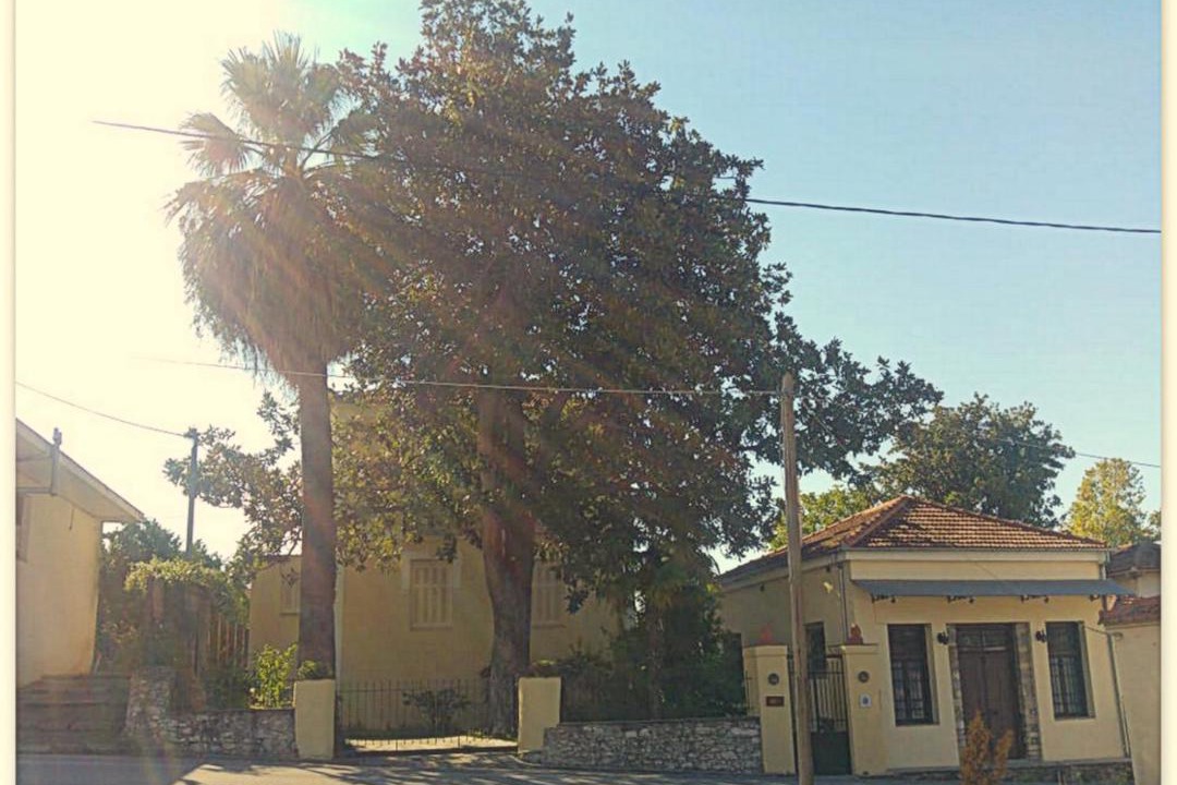Photo of Others in Ano Lechonia