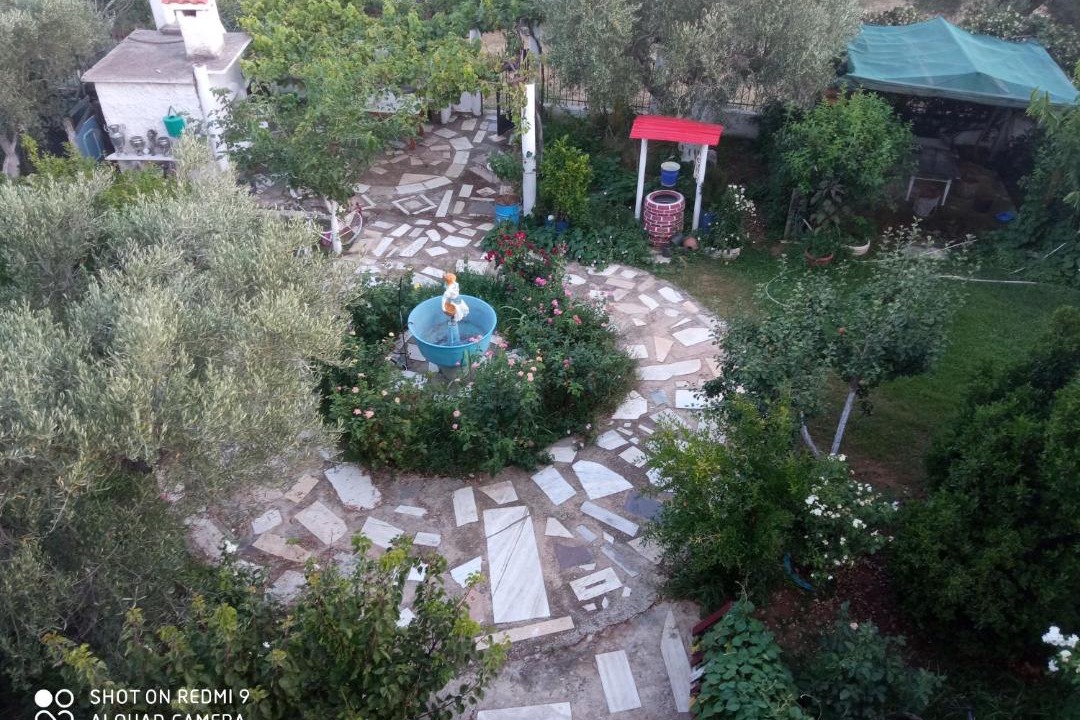 Photo of Others in Alexandroupoli