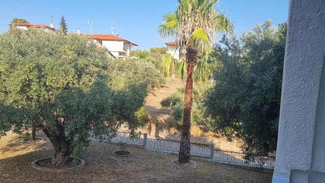Photo of Others in Agios Nikolaos