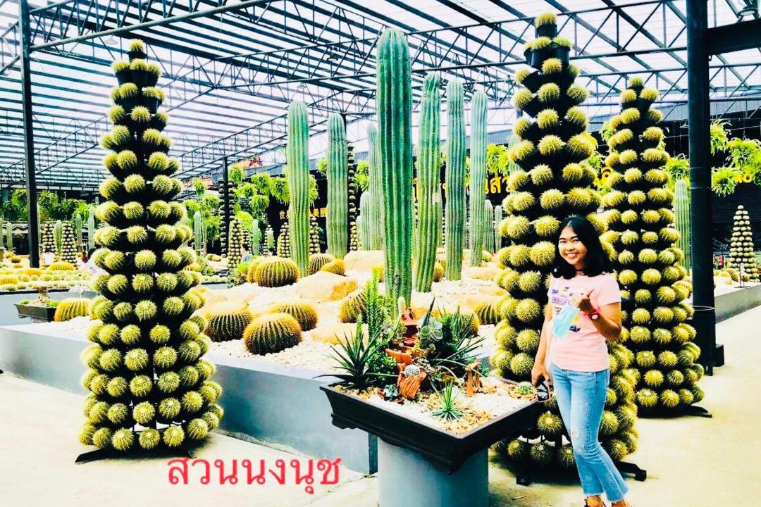 Photo of Others in Bang Sare