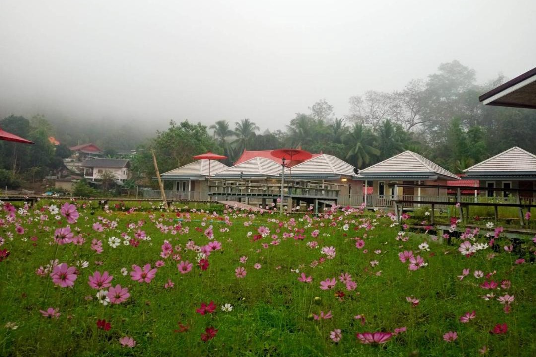 Photo of Others in Chong Kham