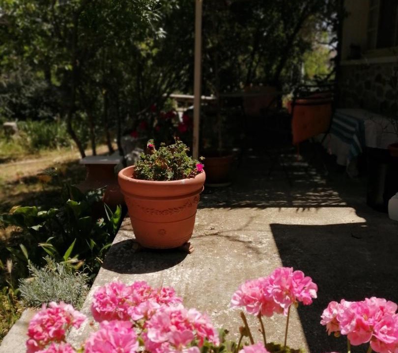 Photo of Others in Eresos