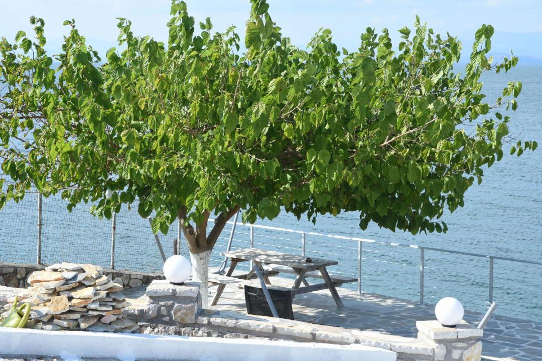 Photo of Others in Monastiraki