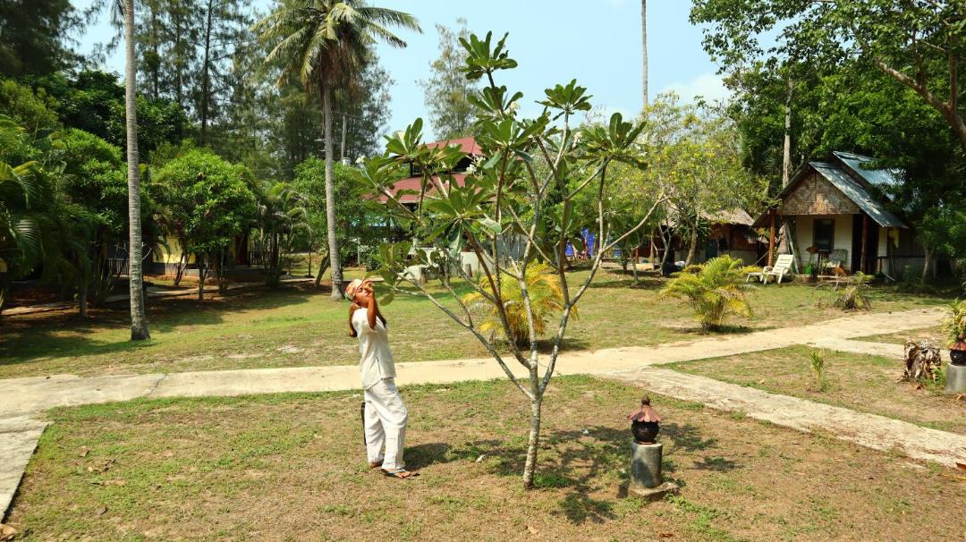 Photo of Others in Ko Yao
