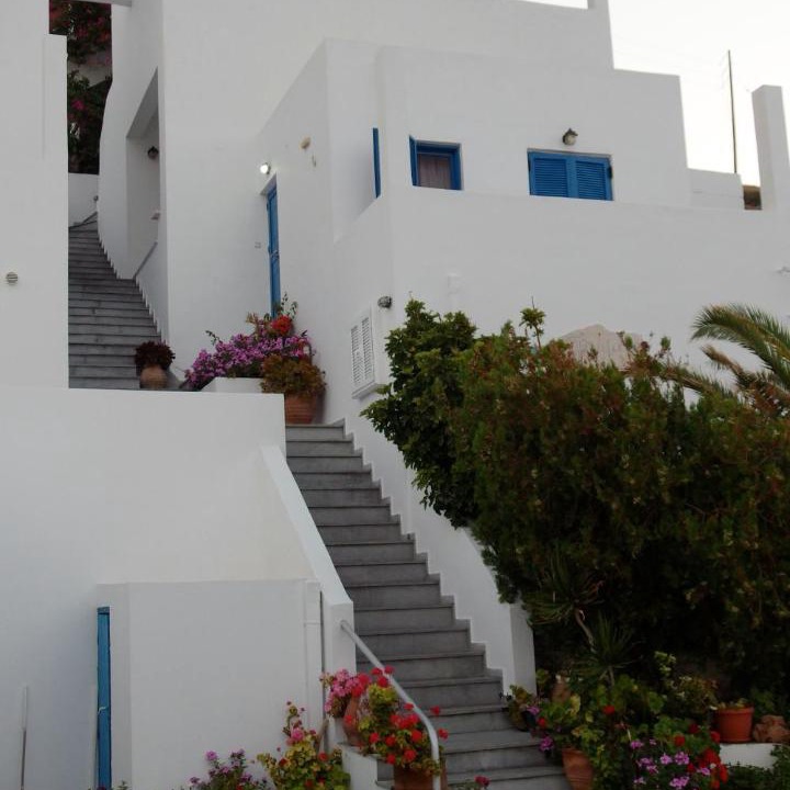Photo of Others in Tripitos