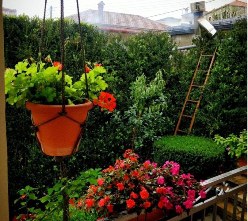 Photo of Patio Balcony in Zitsa
