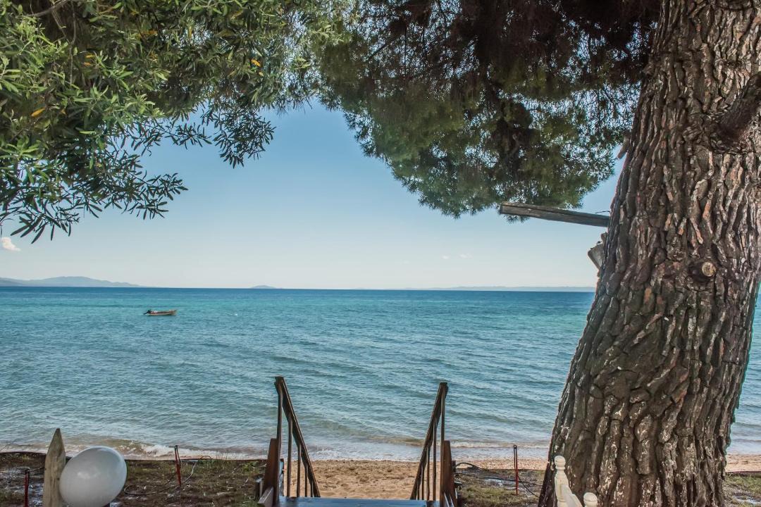 Photo of Others in Metamorfosi