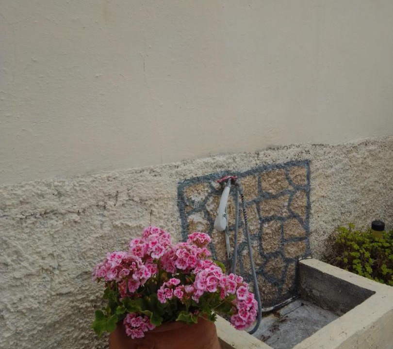 Photo of Others in Katsarou