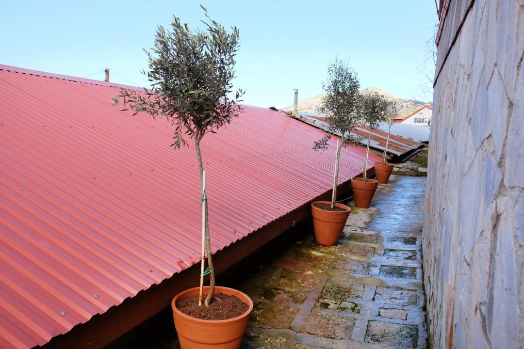 Photo of Patio Balcony in Moutoullas