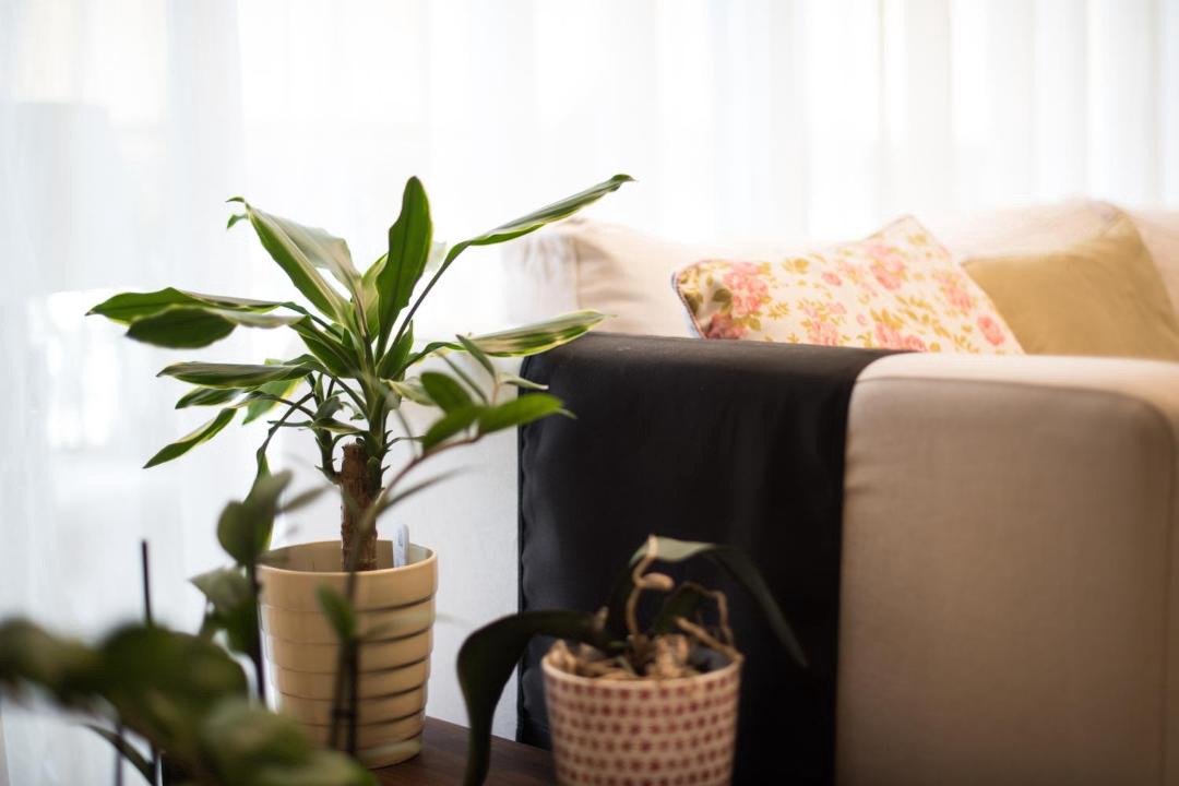 Photo of Livingroom in Heraklion