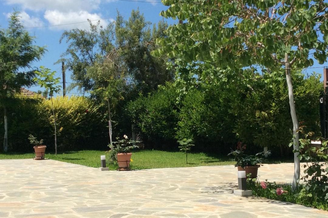 Photo of Others in Pineios
