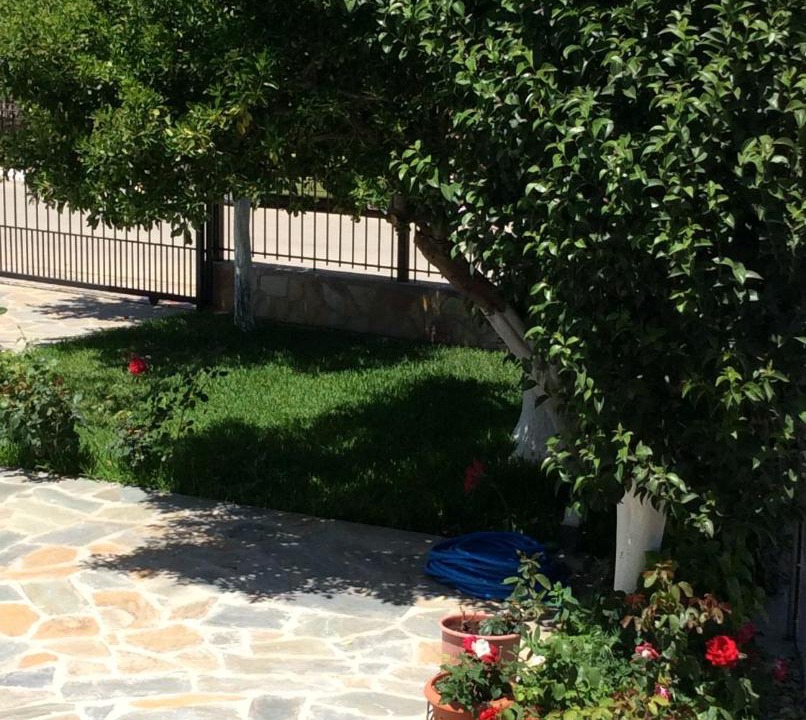 Photo of Others in Pineios