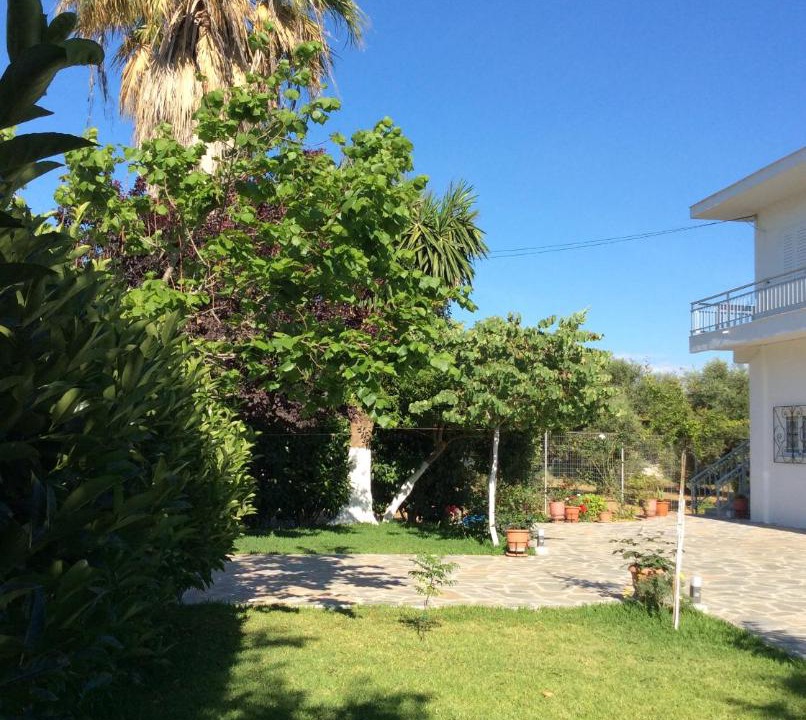 Photo of Others in Pineios