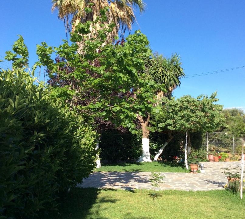 Photo of Others in Pineios