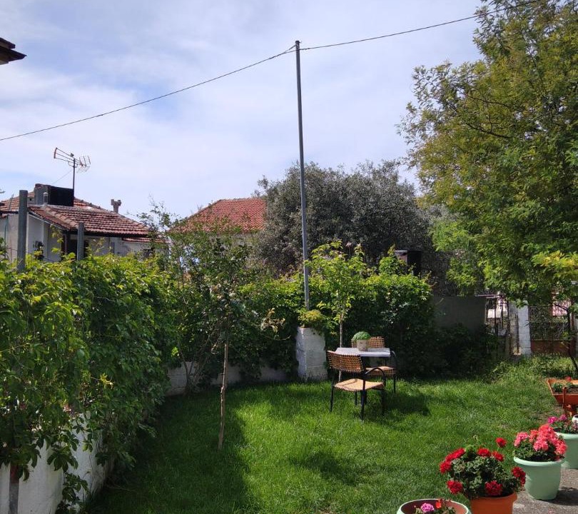 Photo of Others in Skala Kallirachis