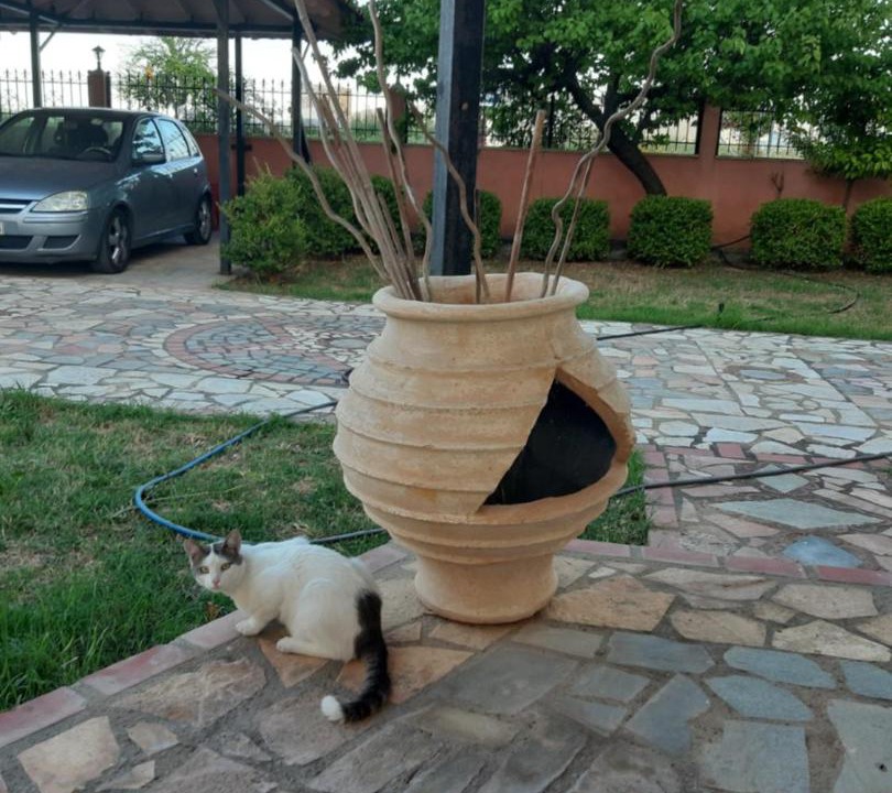 Photo of Outdoor in Skala