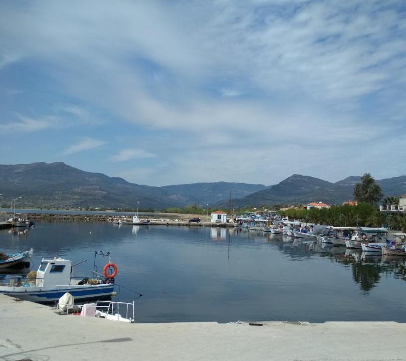 Photo of Others in Kalloni