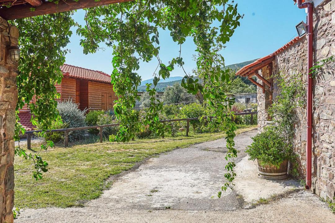 Photo of Others in Agía Eiríni