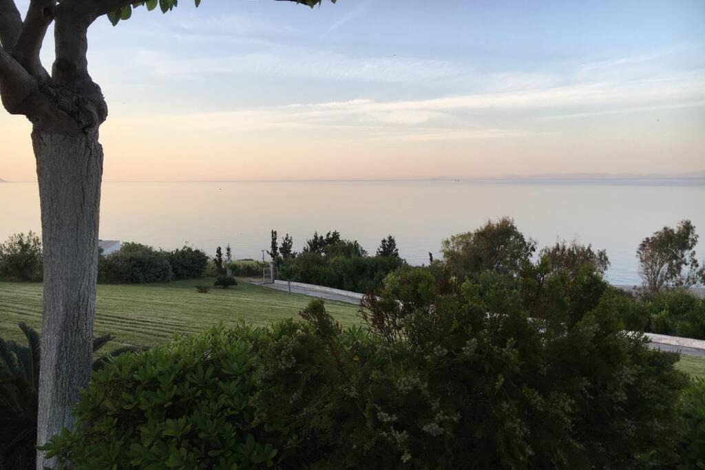 Photo of Outdoor in Vromolimnos