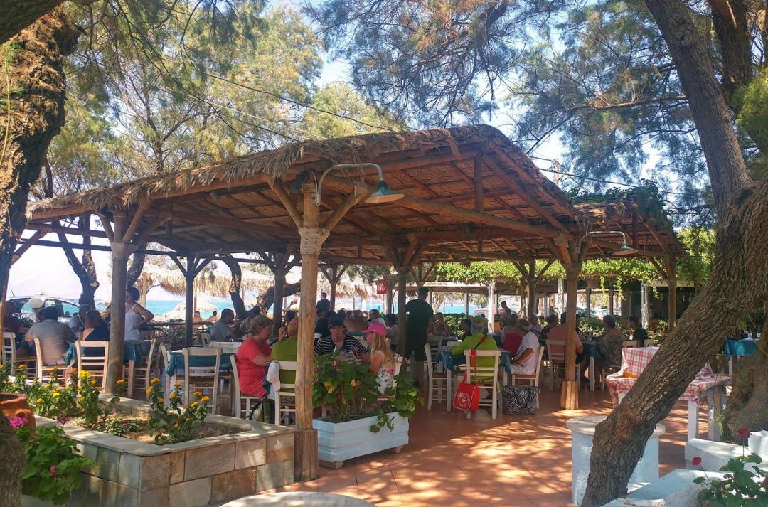 Photo of Others in Nopigia