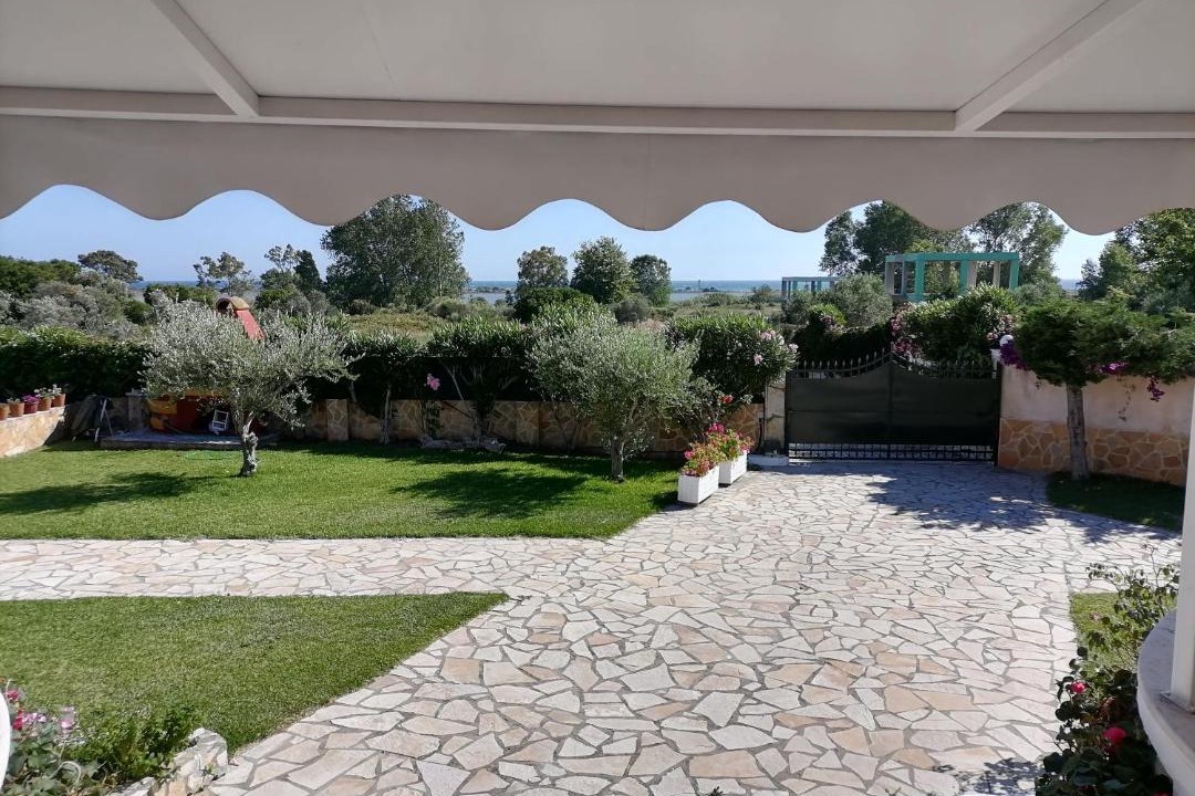 Photo of Others in Dafnata